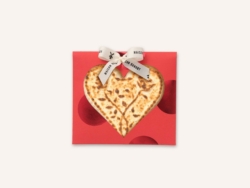 Whats App Image 2026 01 15 at 15 57 29 1