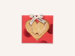 Whats App Image 2026 01 15 at 15 57 30 1