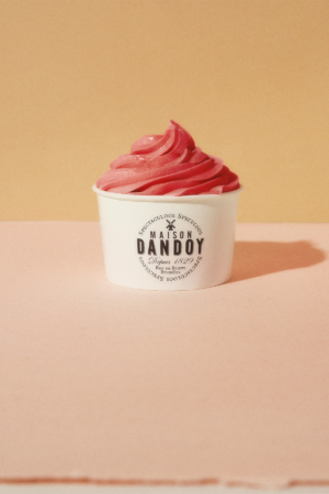 Glace Italienne Sorbet Fraise Maison Dandoy