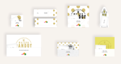 Dan Company Offer Icono Simulation Boxes3