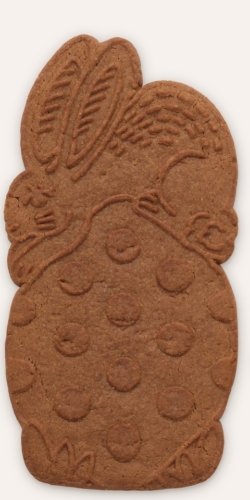 Image 24 02 26 à 11 47