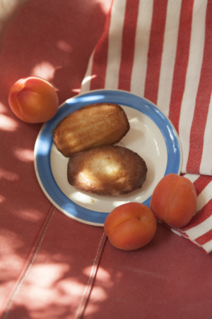 Two madeleines in a plate surrounded by three apricots.