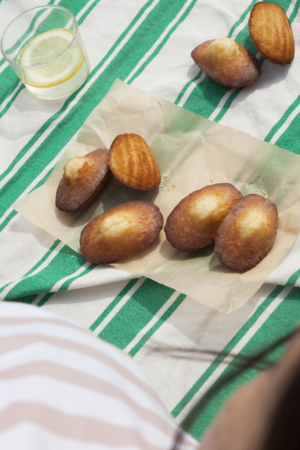 Madeleines Nappe Pique Nique Imprime Rayures Vertes Maison Dandoy