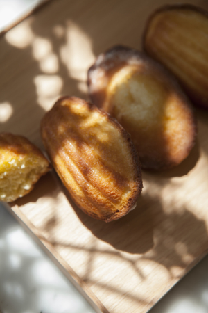Madeleines Ombre Soleil 2 Maison Dandoy