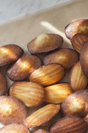 Madeleines Ombre Soleil Maison Dandoy