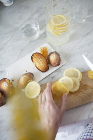 Madeleines Rondelles Citron Maison Dandoy