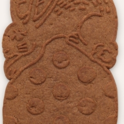 Image 24 02 26 à 11 47