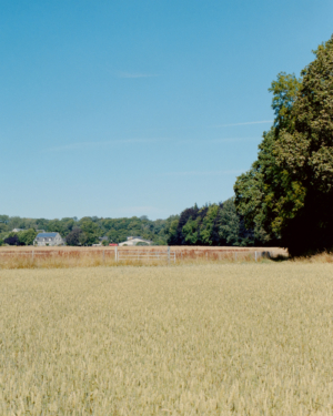 01 DANLAB2023 Naima Lecomte 2