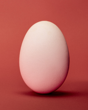 Dandoy 4x5 IMG 0007 2 freduyttenhove