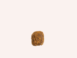 Truffe Maison Dandoy